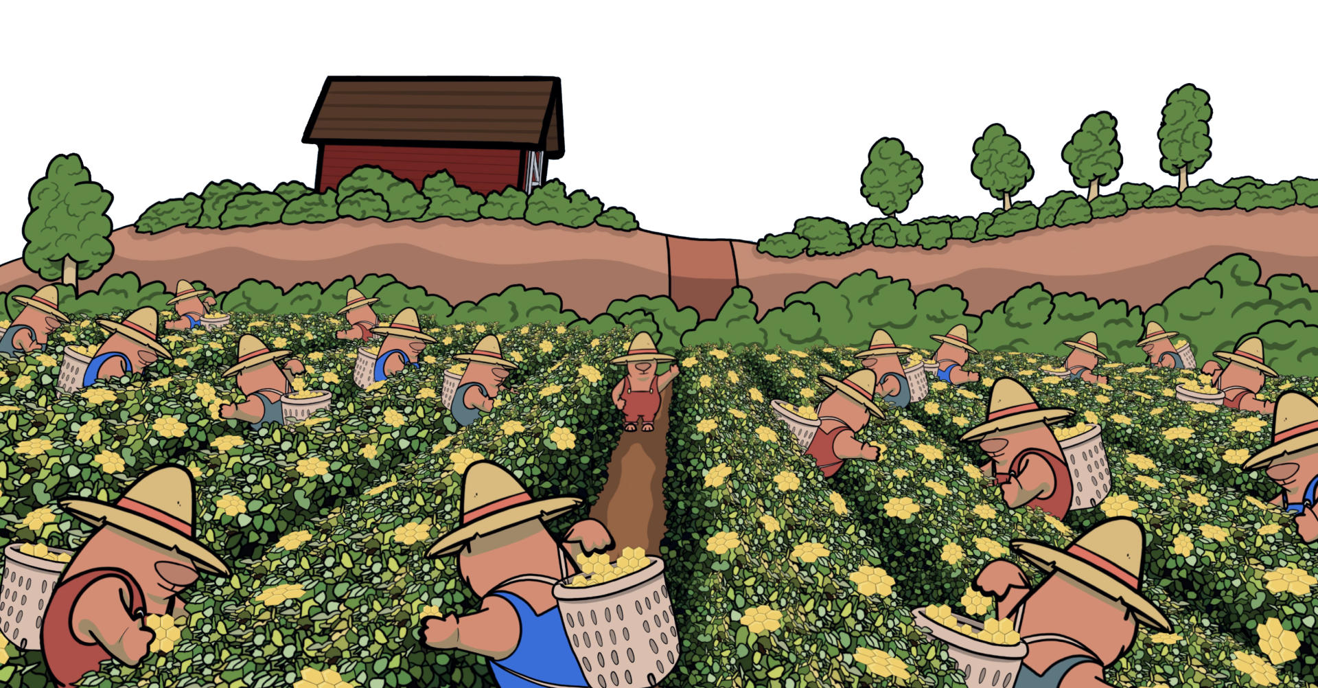 Field Image
